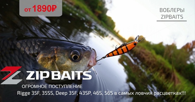 Огромное поступление японских воблеров Zipbaits!🔵🔵🔴 