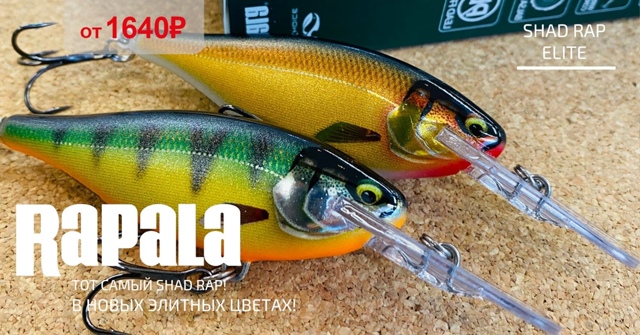 Новинка от RAPALA - SHAD RAP ELITE!㈞9;㈞9;㈞8; 