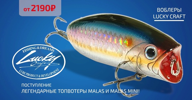 MALAS и MALAS MINI - легендарные топвотеры, снова в наличии!🔵🔵🔴 