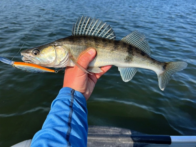 <a href=https://lovisnami.ru/category-v/akara-lures-scamp-2119?utm_source=vk-news&utm_campaign=vk-news-wall>Воблеры Akara Scamp - РыбачОК</a>