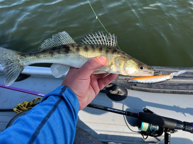 <a href=https://lovisnami.ru/category-v/akara-lures-sima-2121?utm_source=vk-news&utm_campaign=vk-news-wall>Воблеры Akara Sima - РыбачОК</a>