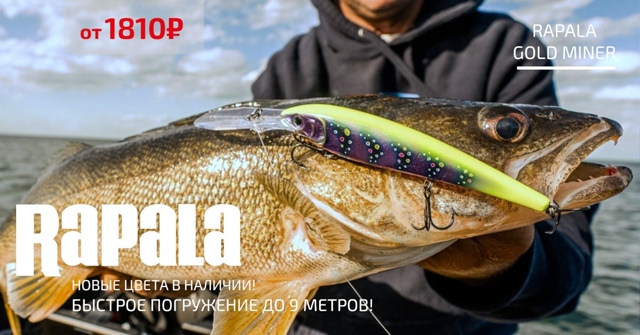 RAPALA GOLD MINER - воблер для троллинга с заглублением 9 метров! 🔵🔵🔴 