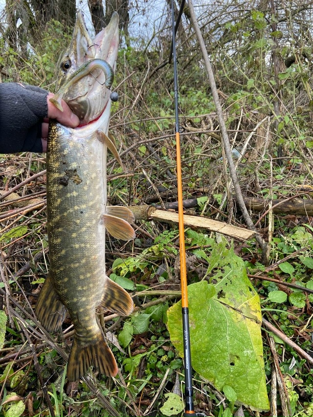 Frapp Snatcher на картинке и правда был очень похож на Keitech Easy Shiner 