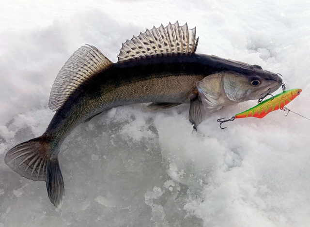 Зима близко!