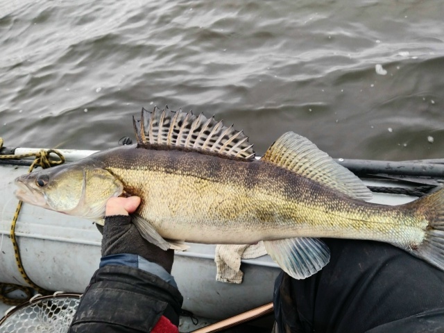 Это была Славная Охота...... 