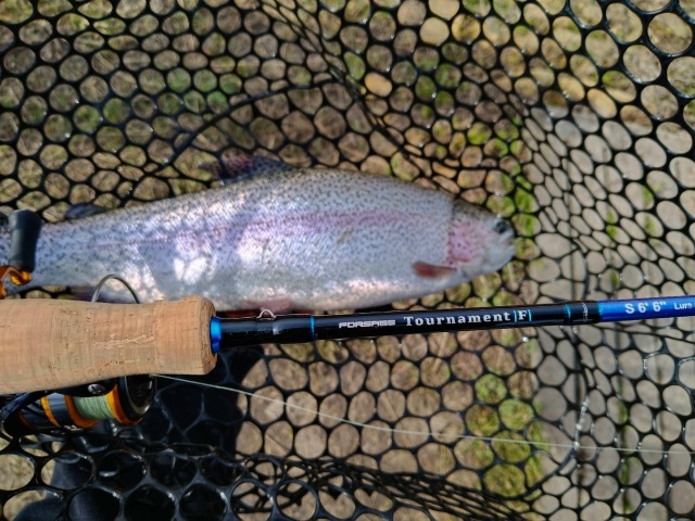 Спиннинги Forsage Tournament-F со скидкой 30% с 24.11 по 01.12