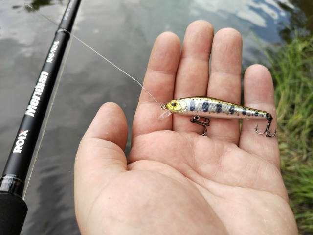 Один из лучших и стабильных воблеров для ловли жереха Zipbaits Rigge 56S