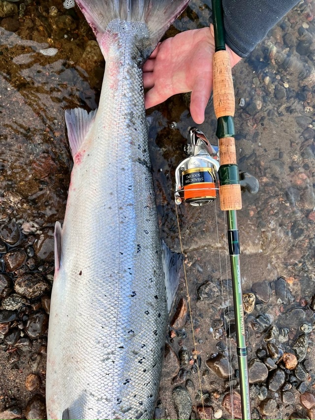 LineSystem — ведущий японский бренд, специализирующийся на производстве высококачественных лесок и PE шнуров для рыбалки. 