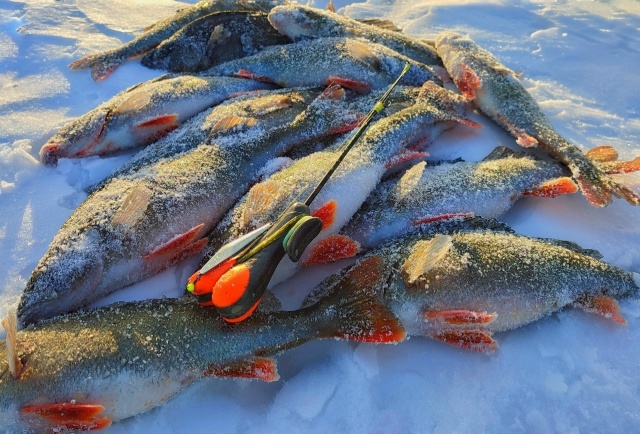 У нас большой ассортимент зимних удочек MaxFishing