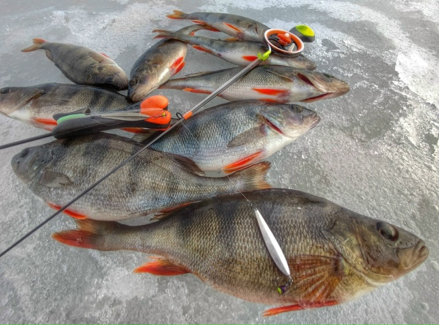 Весь ассортимент зимних блесен Maxfishing в наличии