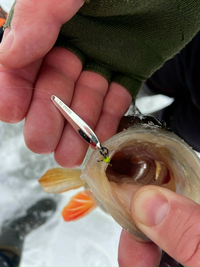 Первый трофей 2026 