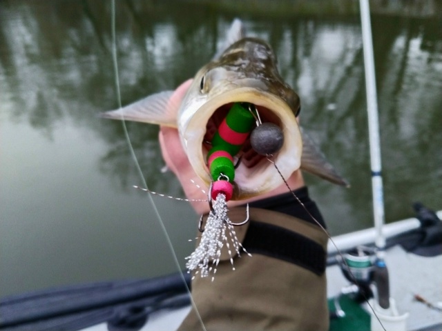 Прошло два дня мощнейшей, неистовой зимы! Две ночи с лютыми морозами — по 10 градусов))) И снова наступила оттепель. Полный штиль и +1 градус. Отличная погода для ловли на спиннинг. 