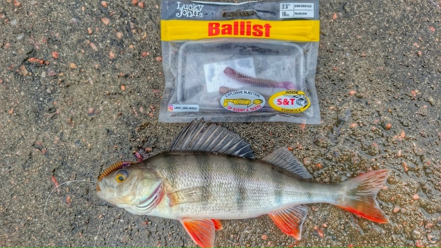 Ни один мотрос не устоит !