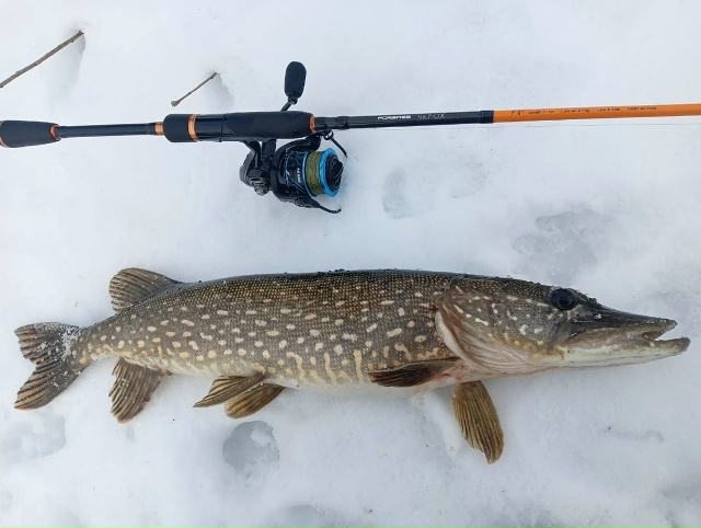 Спиннинги Forsage Mr. Fox со скидкой 20% по промокоду 777