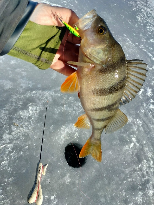 Балансиры Kuusamo (Финляндия) 