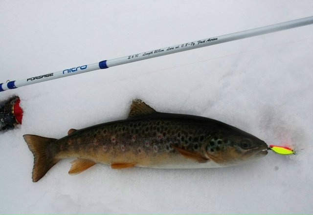 Всем клёвых выходных!!! 