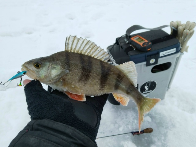 Балансиры USAMI 