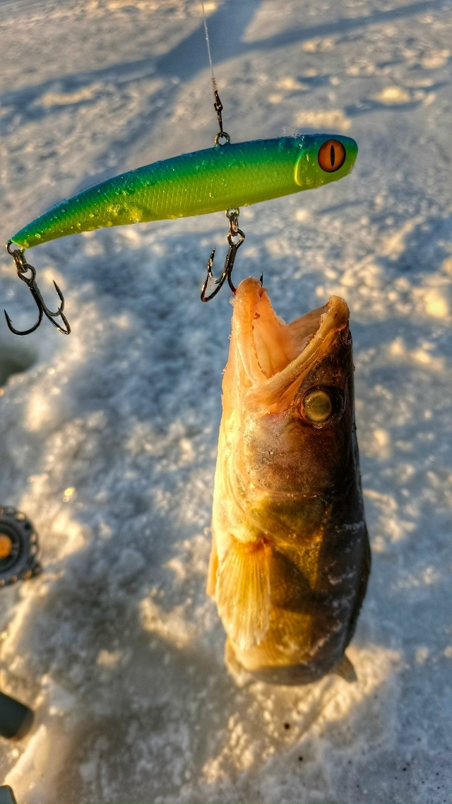 Ну какая рыбалка без Frappa?