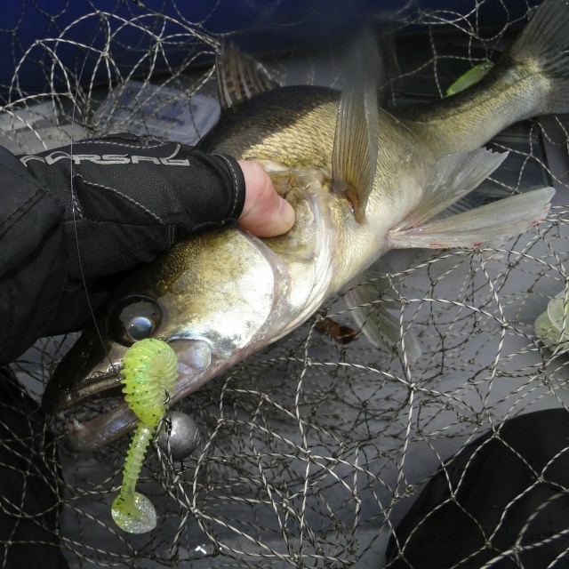 Keitech Swing Impact: поступила в продажу новая поставка силиконовых приманок.