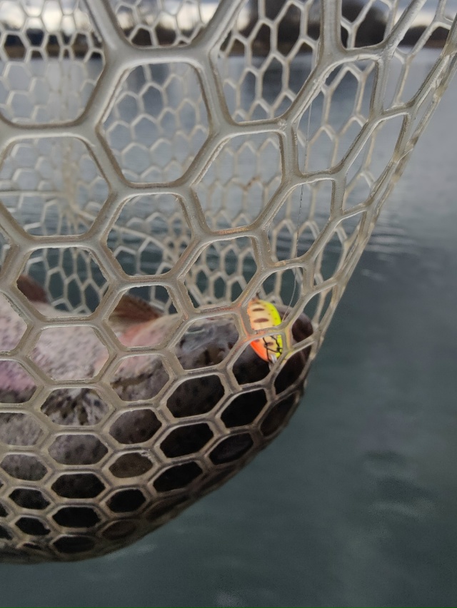 Блесны Smith Pure: <a href=https://lovisnami.ru/category-v/blesny-smith-pure-1576?utm_source=vk-news&utm_medium=post&utm_campaign=vk-news-wall>Блесны Smith Pure - РыбачОК</a> 