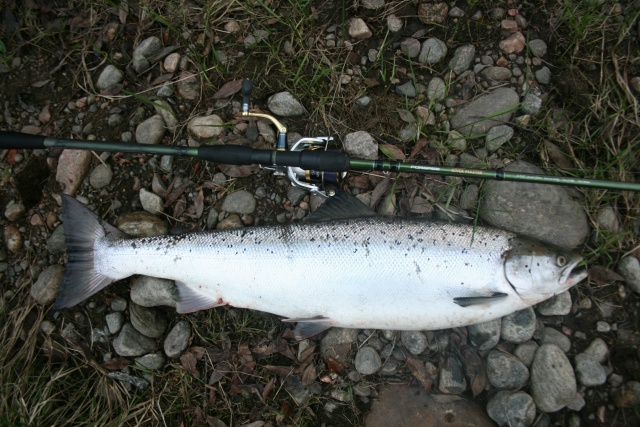 <a href=https://lovisnami.ru/category-v/hard-lures-akara-viskan-2061?utm_source=vk-news&utm_medium=post&utm_campaign=vk-news-wall>Блесны Akara Viskan - РыбачОК</a>