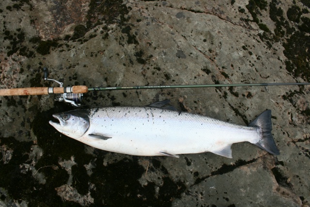 <a href=https://lovisnami.ru/category-v/hard-lures-akara-laxa-2043?utm_source=vk-news&utm_medium=post&utm_campaign=vk-news-wall>Блесны Akara Laxa - РыбачОК</a>