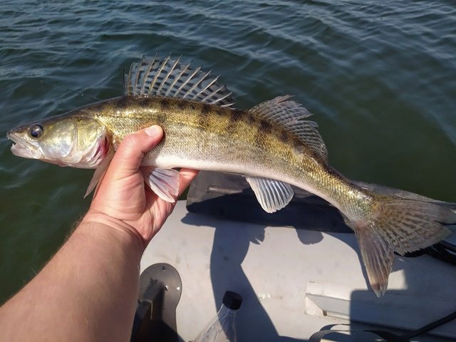 <a href=https://lovisnami.ru/category-v/akara-lures-scamp-2119?utm_source=vk-news&utm_campaign=vk-news-wall>Воблеры Akara Scamp - РыбачОК</a>