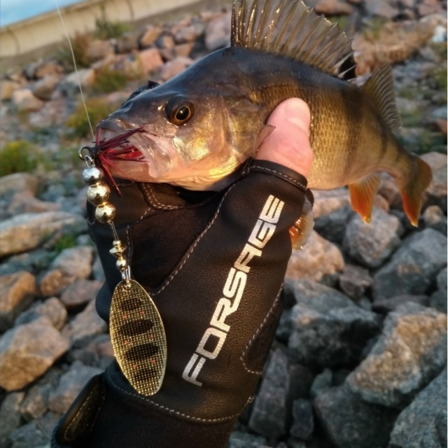 Перчатки ANGLER.