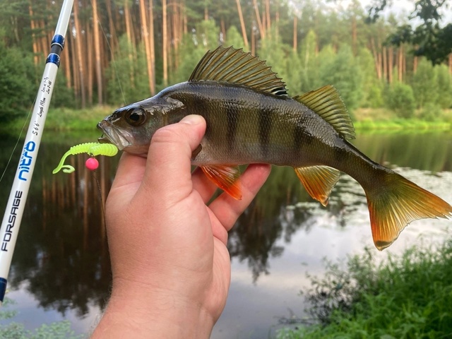 Спиннинг Forsage Nitro Travel Скидка 15% по промо коду 777 