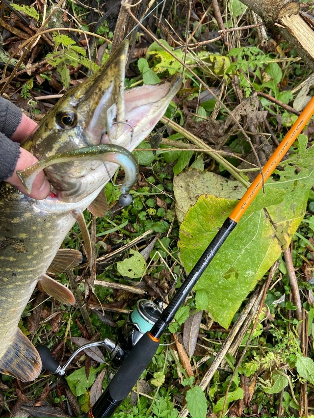 Frapp Snatcher на картинке и правда был очень похож на Keitech Easy Shiner 