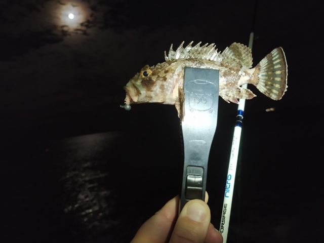 Всем доброй ночи. 