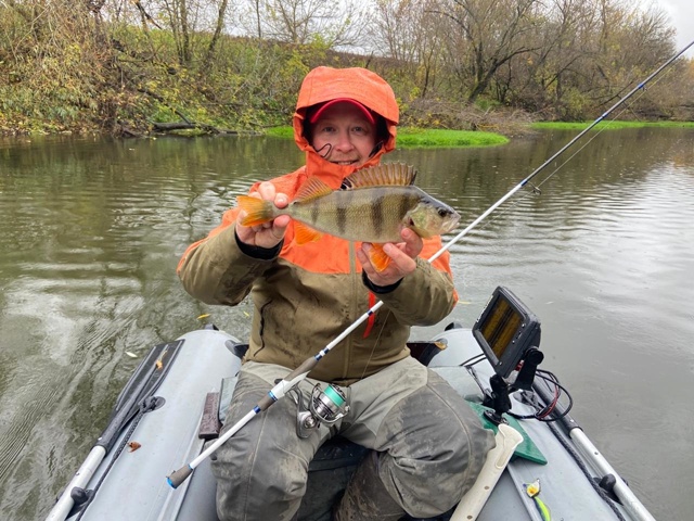 Вчера целый день шёл дождь. Рыбы поймано не много. Поклёвок мало. Но качество окуней просто зашкаливающее!!!
