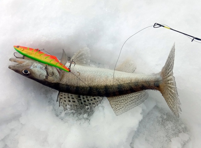 Зима близко!