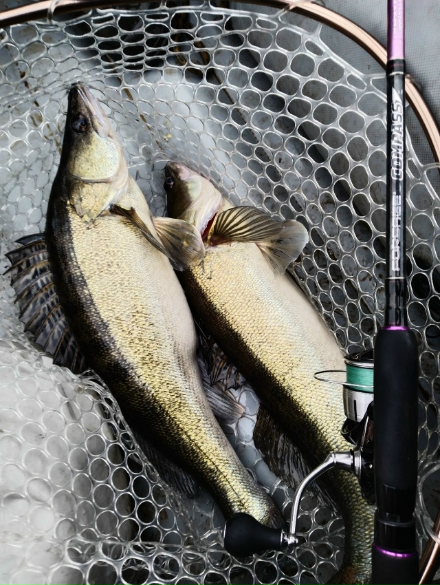 Это была Славная Охота...... 