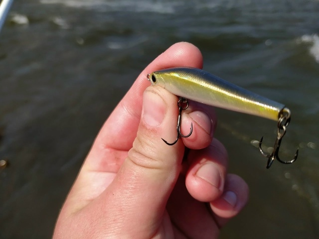 Один из лучших и стабильных воблеров для ловли жереха Zipbaits Rigge 56S