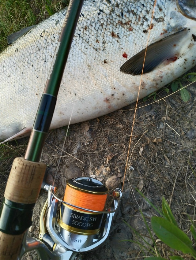 LineSystem — ведущий японский бренд, специализирующийся на производстве высококачественных лесок и PE шнуров для рыбалки. 