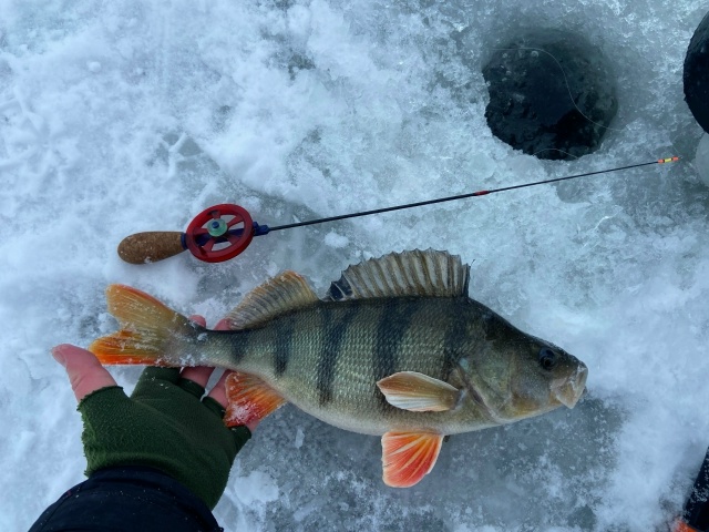 Первый трофей 2026 