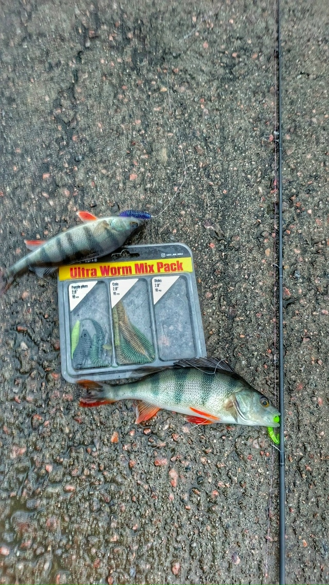 Ни один мотрос не устоит !