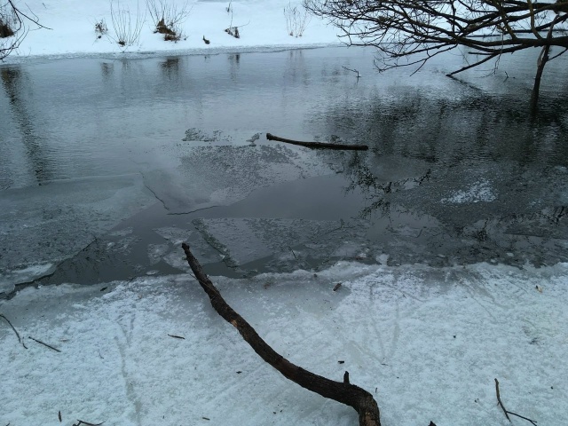 Спиннинги Forsage Nitro со скидкой 20% по промокоду 777