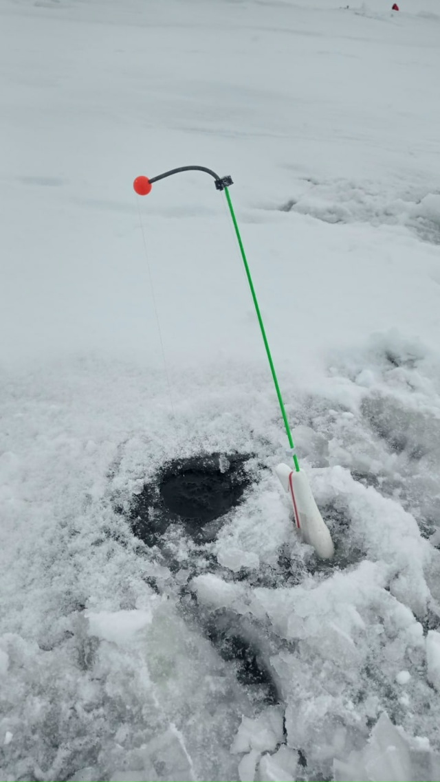 Корюшка поклёвывает чуть по чуть.