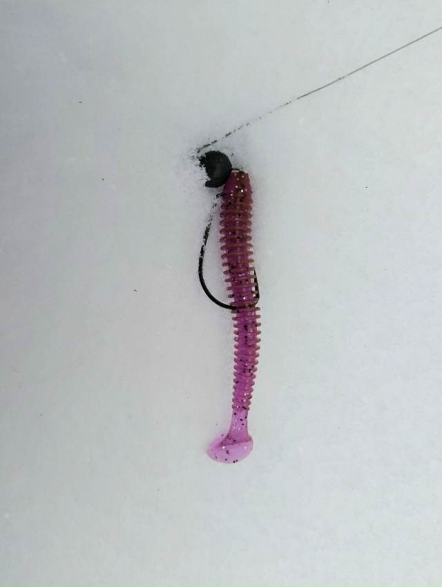 Первые спиннинговые рыбки. Шнурки активны. Крупняк пока спит. Снега море, дойти до лучших мест пока не реально.