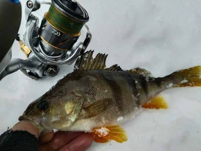 Микроджиговая прогулка.