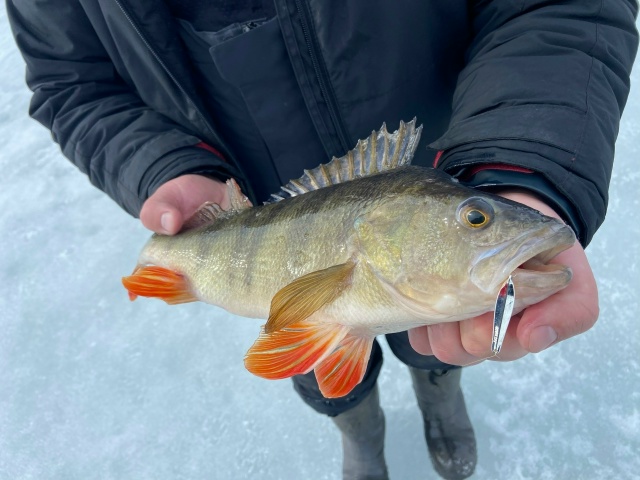 Сезон ловли в дырке закрыт! 