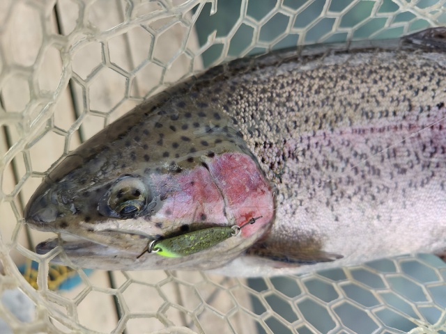 Блесны Smith Pure: <a href=https://lovisnami.ru/category-v/blesny-smith-pure-1576?utm_source=vk-news&utm_medium=post&utm_campaign=vk-news-wall>Блесны Smith Pure - РыбачОК</a> 