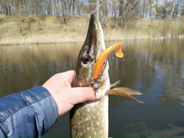 Frapp Snatcher <a href=https://lovisnami.ru/category-v/frapp-lures-snatcher-4507?utm_source=vk-news&utm_medium=post&utm_campaign=vk-news-wall>Приманки Frapp Snatcher - РыбачОК</a>