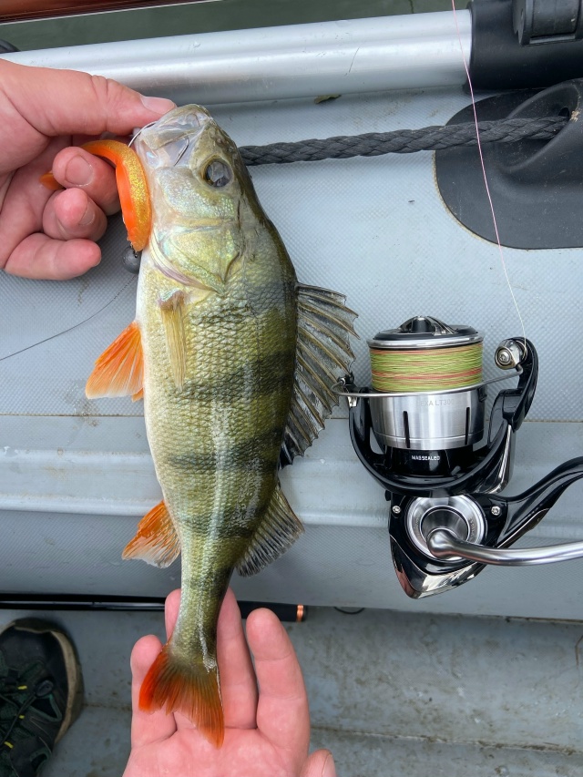 Катушки Daiwa Lexa