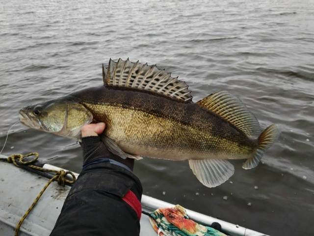 Это была Славная Охота...... 