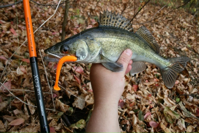 Спиннинги Forsage Mr. Fox со скидкой 30% с 24.11 по 01.12