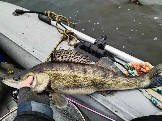 Это была Славная Охота...... 