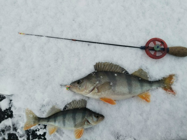 Балансиры USAMI 